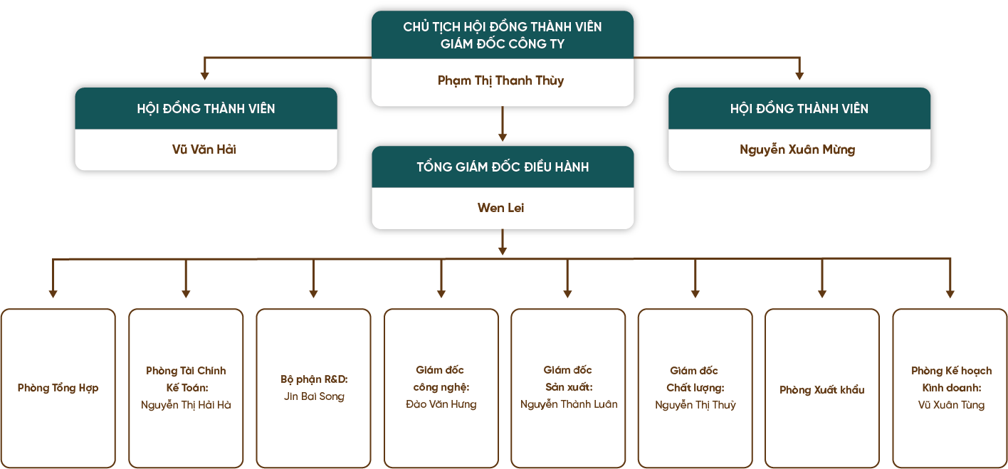 Mô hình tổ chức